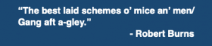 “The best laid schemes o’ mice an’ men/ Gang aft a-gley.” - Robert Burns
