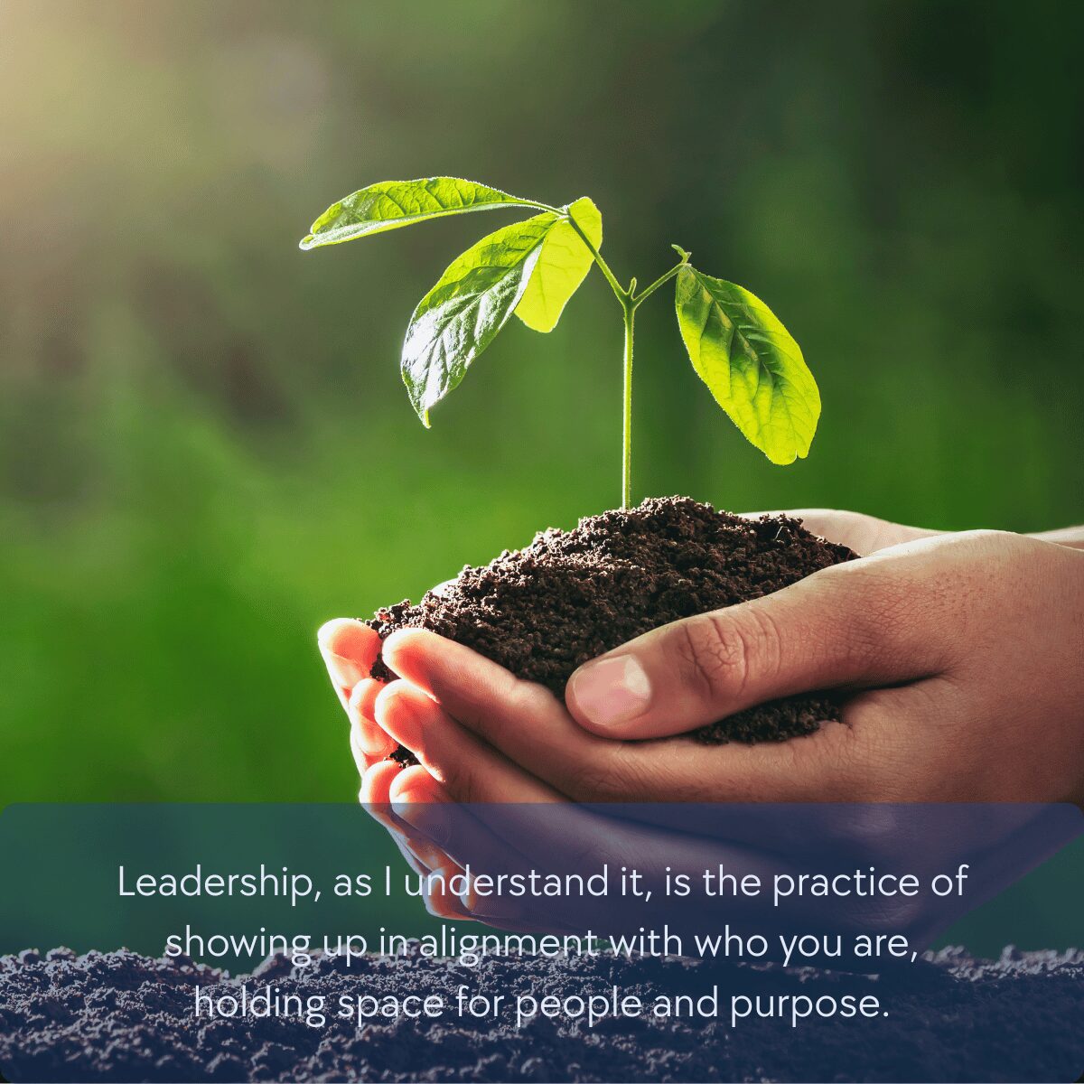 Leadership, as I understand it, is the practice of showing up in alignment with who you are, holding space for people and purpose. Hands holding a sprout with a quote from the article